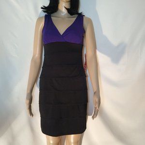 Purple & Black Dress